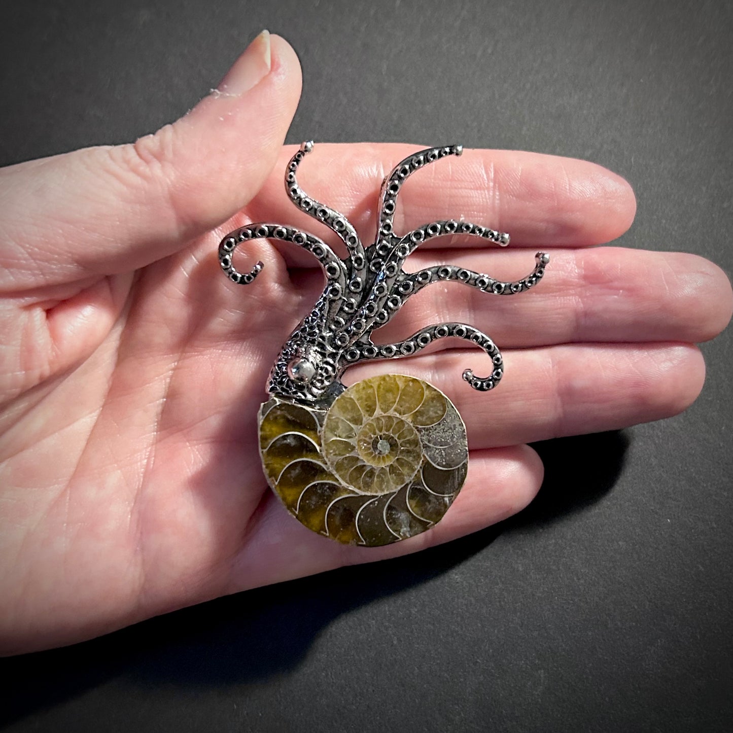 Ammonite Fossil Octopus Silver Brooch & Pendant