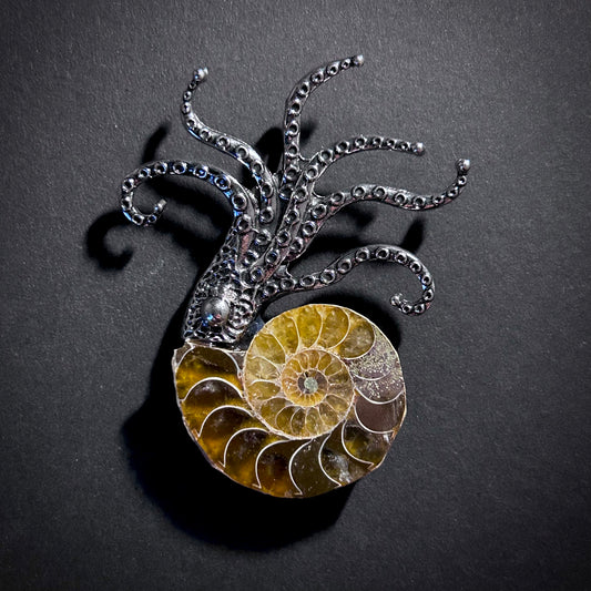 Ammonite Fossil Octopus Silver Brooch & Pendant