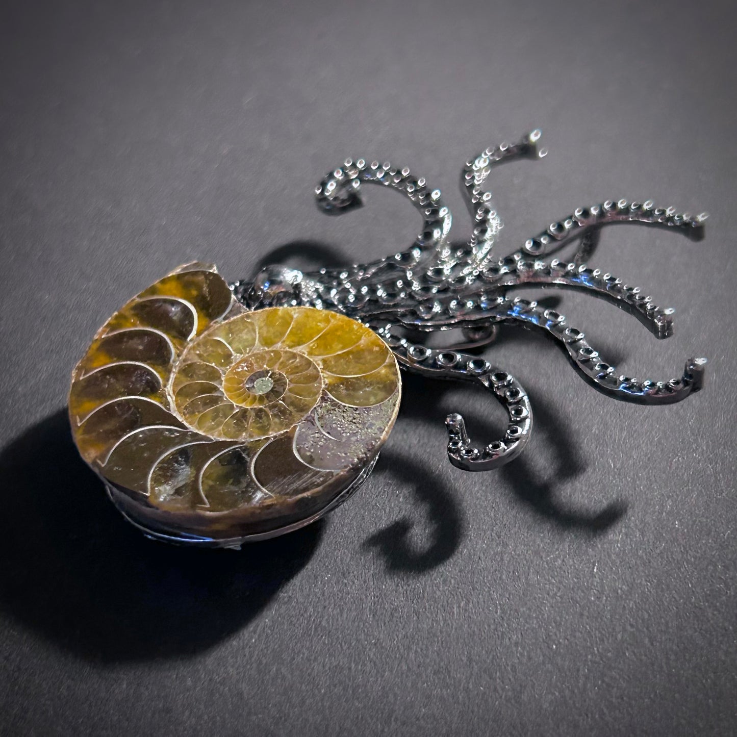 Ammonite Fossil Octopus Silver Brooch & Pendant