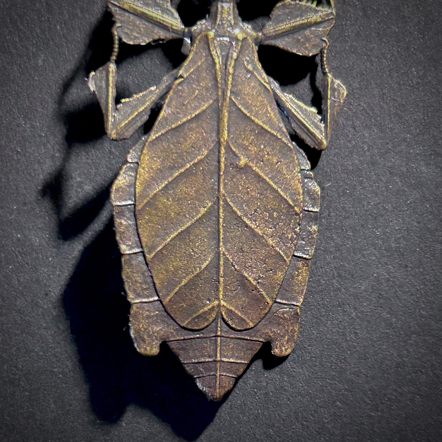 Leaf Insect Antiqued Bronze Brooch