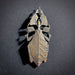 Leaf Insect Antiqued Bronze Brooch