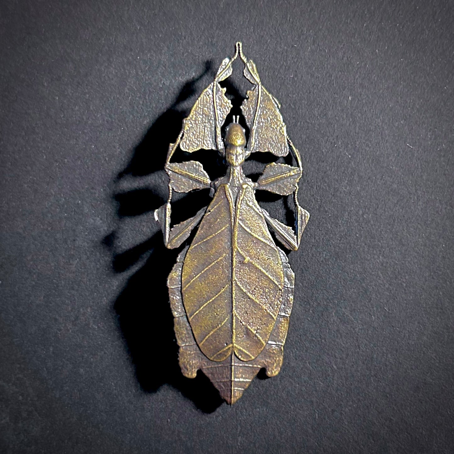 Leaf Insect Antiqued Bronze Brooch
