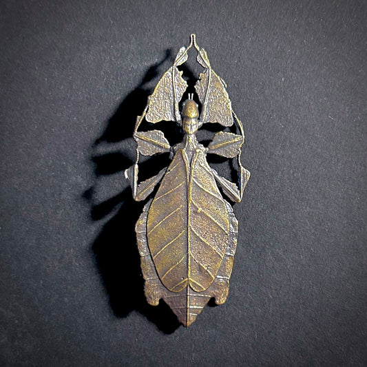 Leaf Insect Antiqued Bronze Brooch
