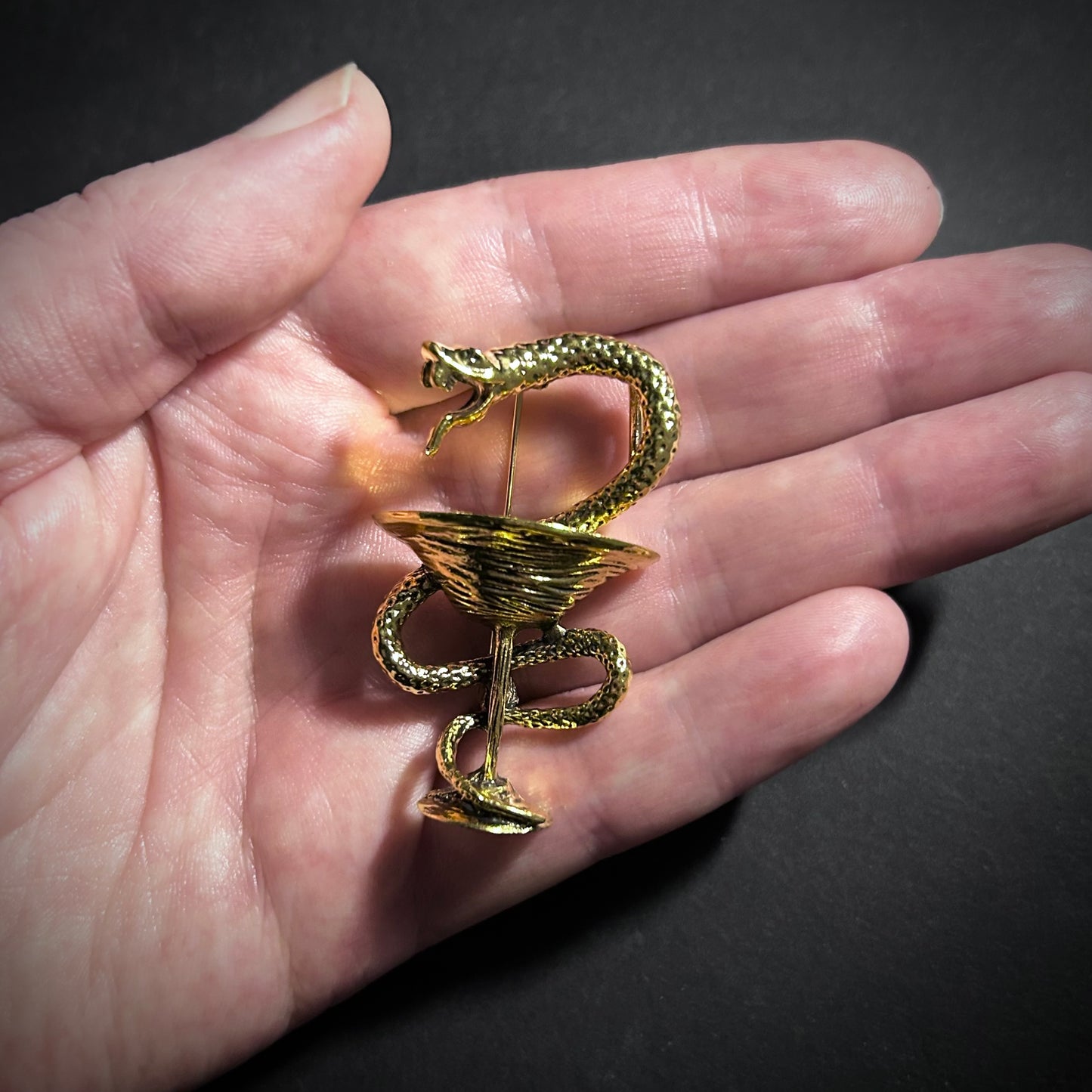 Bowl of Hygieia Snake & Chalice Gold Brooch Lapel Pin