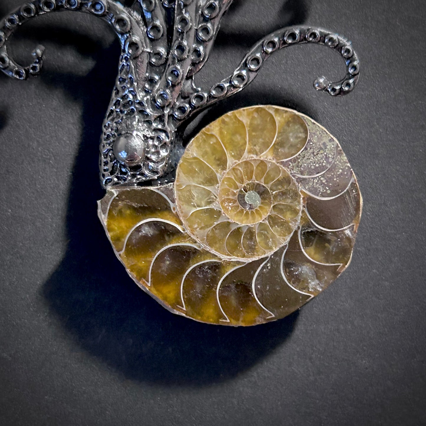 Ammonite Fossil Octopus Silver Brooch & Pendant