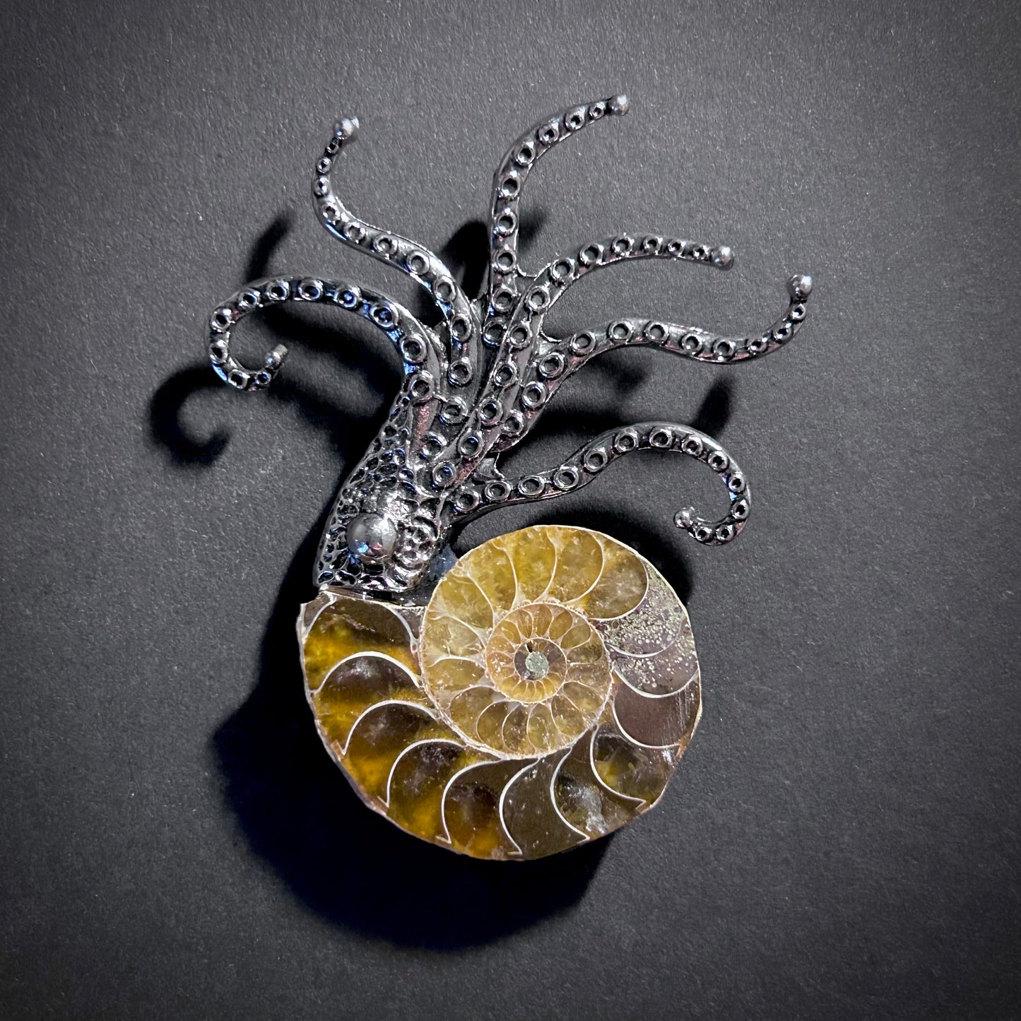 Ammonite Fossil Octopus Silver Brooch & Pendant
