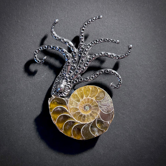Ammonite Fossil Octopus Silver Brooch & Pendant