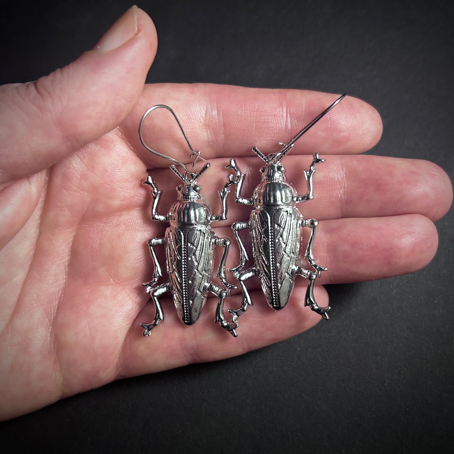 Cockroach Beetle Silver Drop Earrings