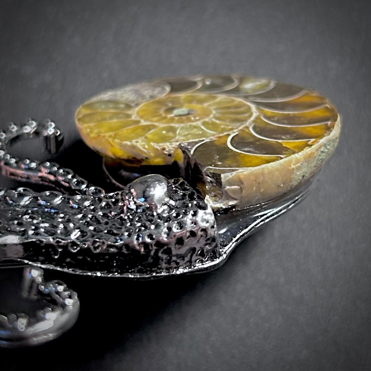 Ammonite Fossil Octopus Silver Brooch & Pendant