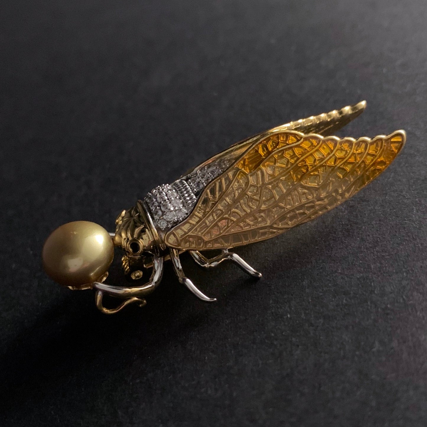 Cicada Enamel & Golden Pearl Mixed Metal Brooch