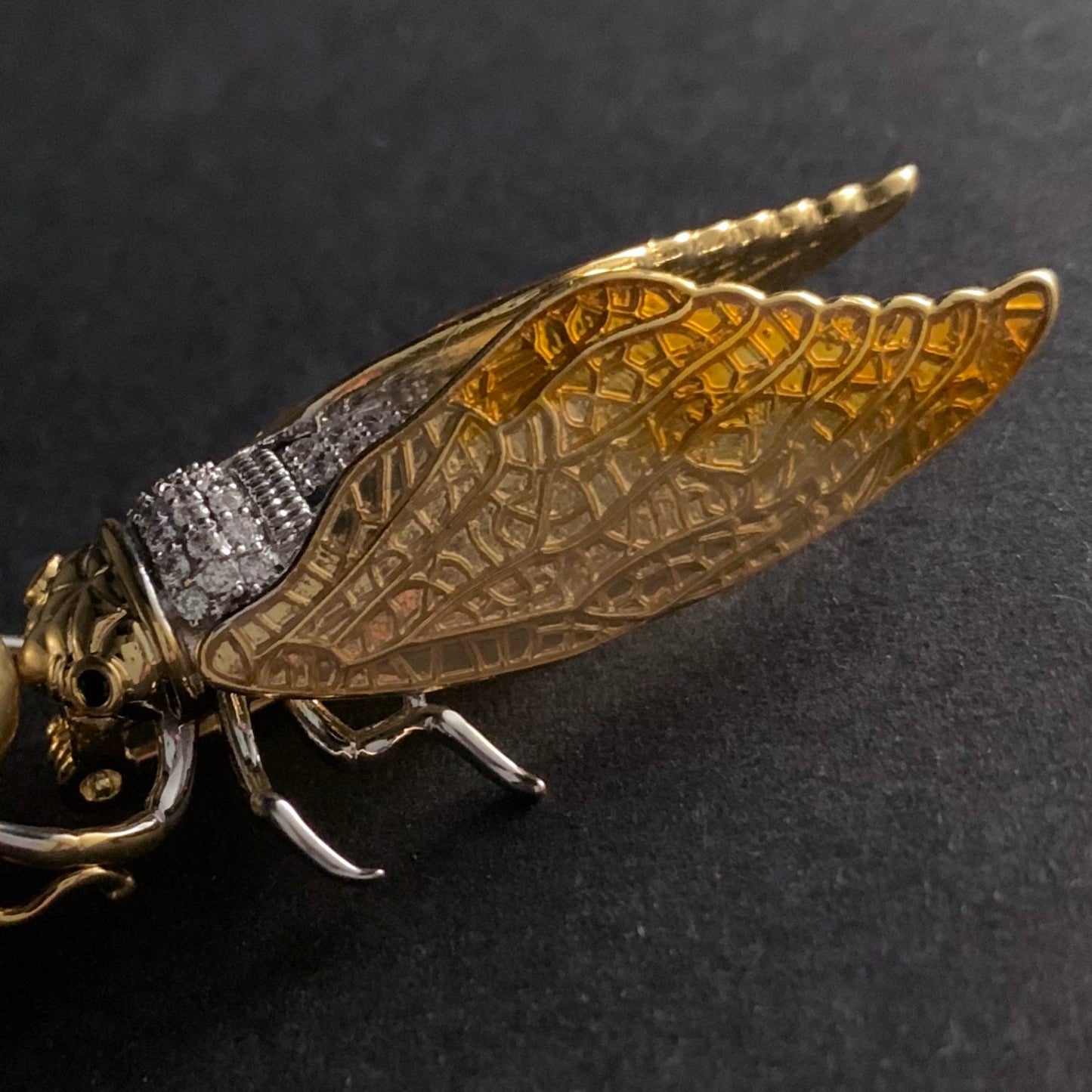 Cicada Enamel & Golden Pearl Mixed Metal Brooch