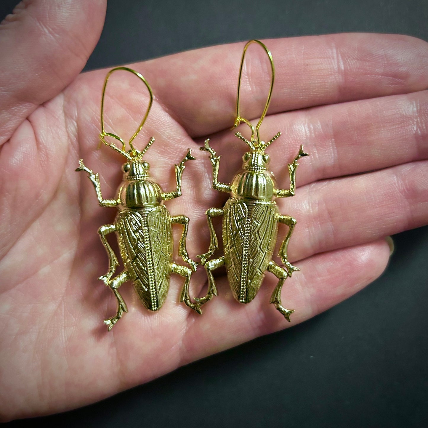 Cockroach Beetle Golden Drop Earrings