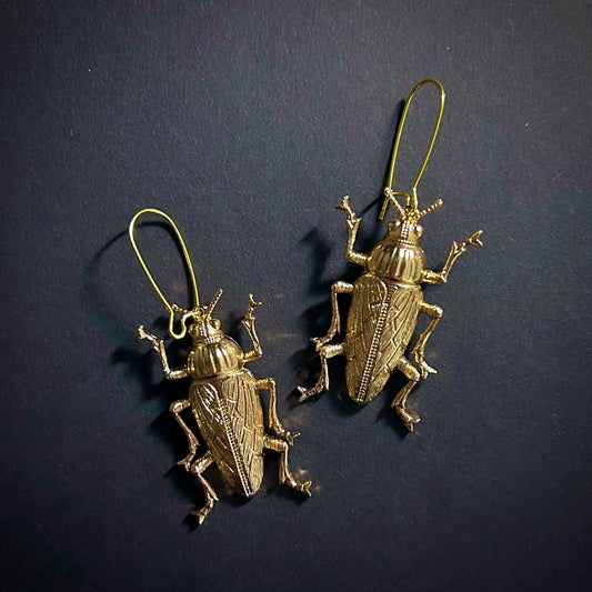 Cockroach Beetle Golden Drop Earrings