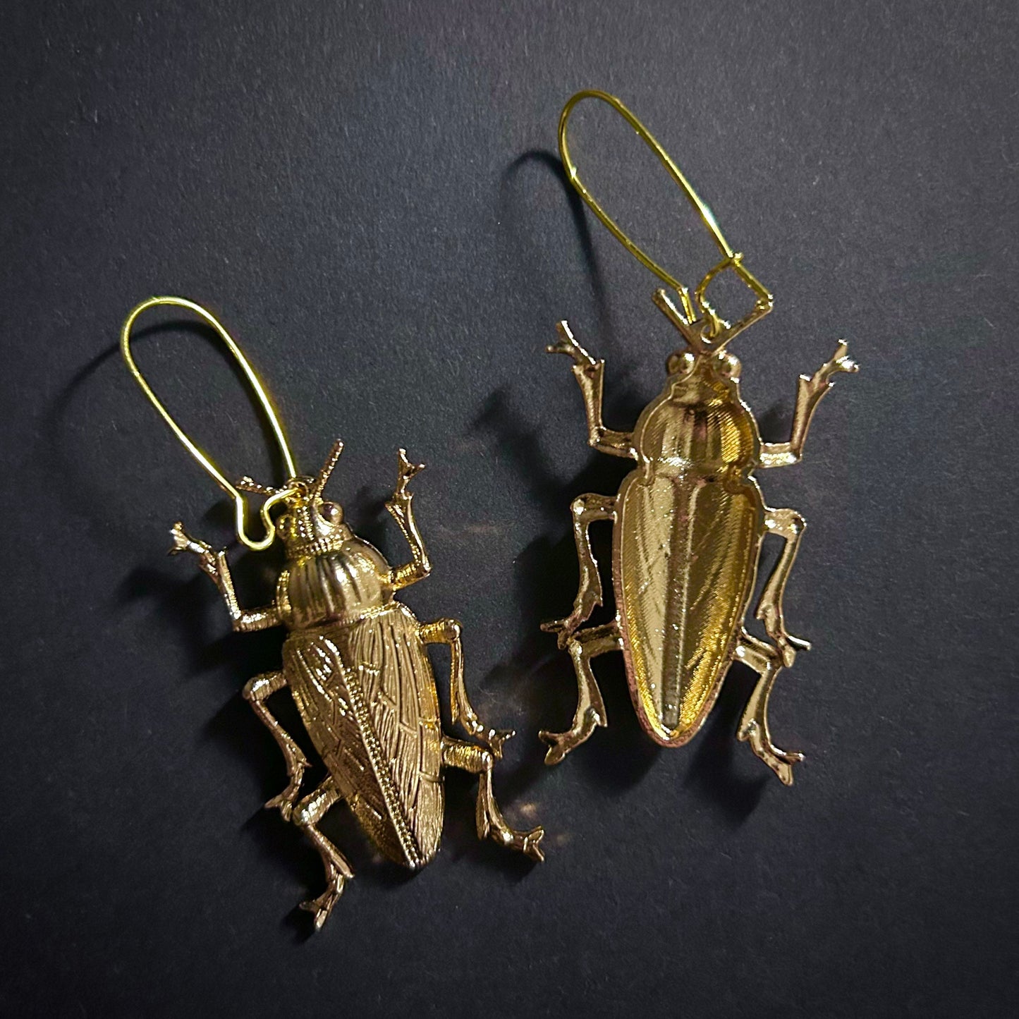 Cockroach Beetle Golden Drop Earrings