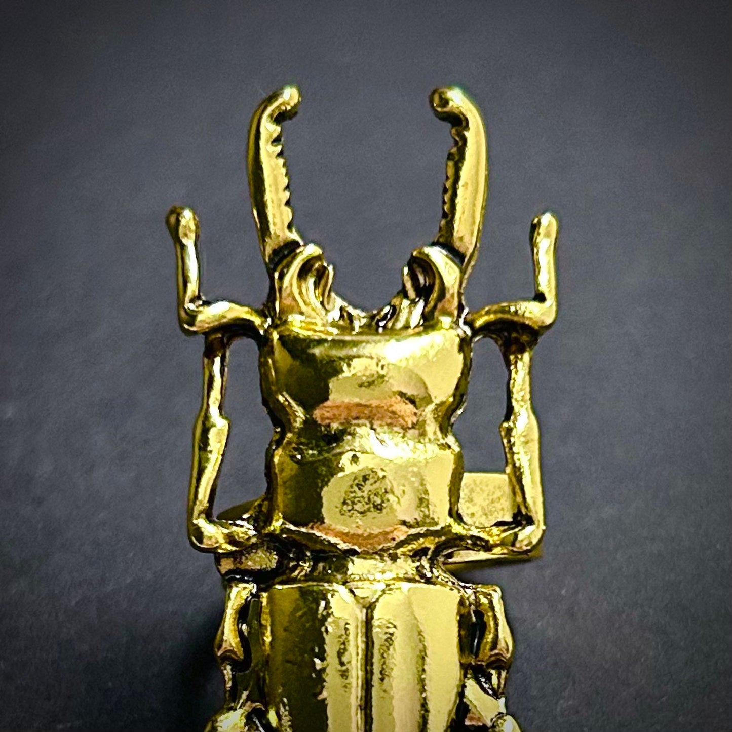 Stag Beetle Adjustable Ring in Antique Gold