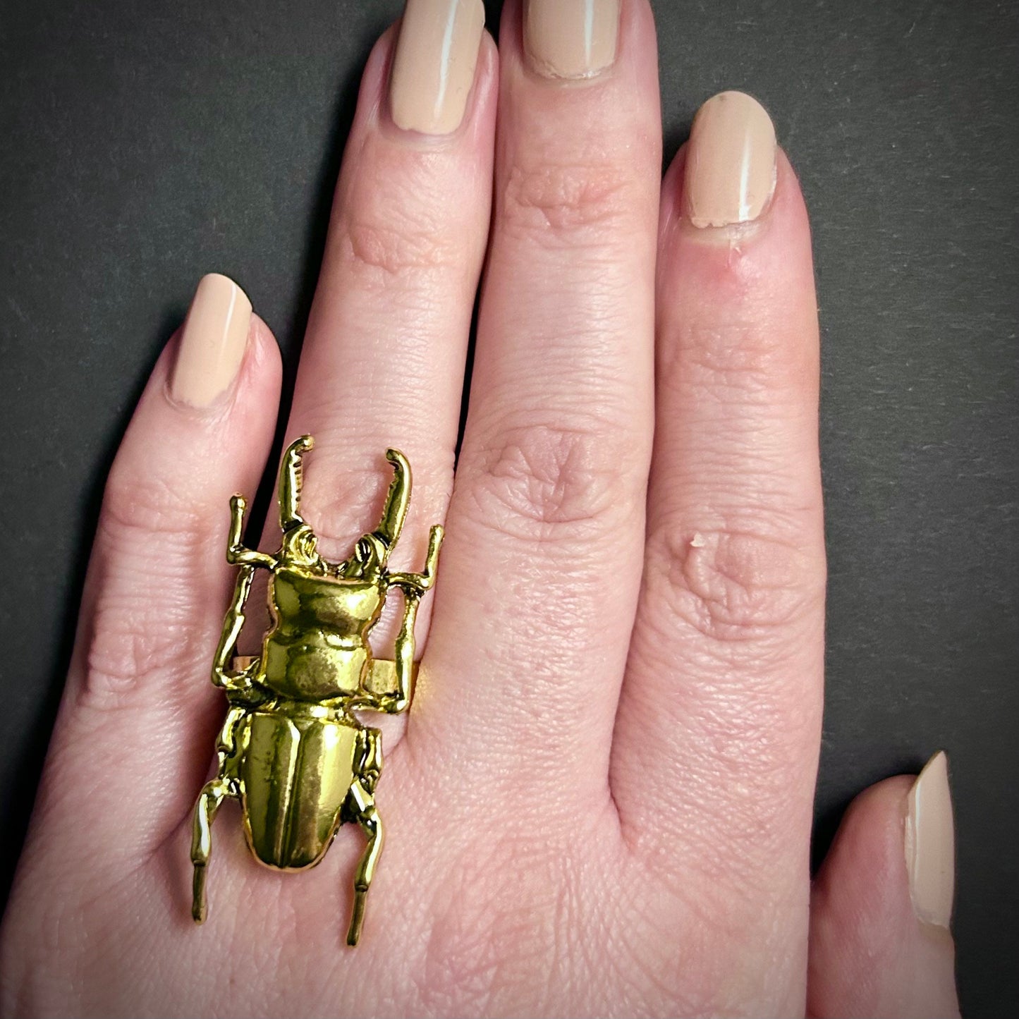 Stag Beetle Adjustable Ring in Antique Gold