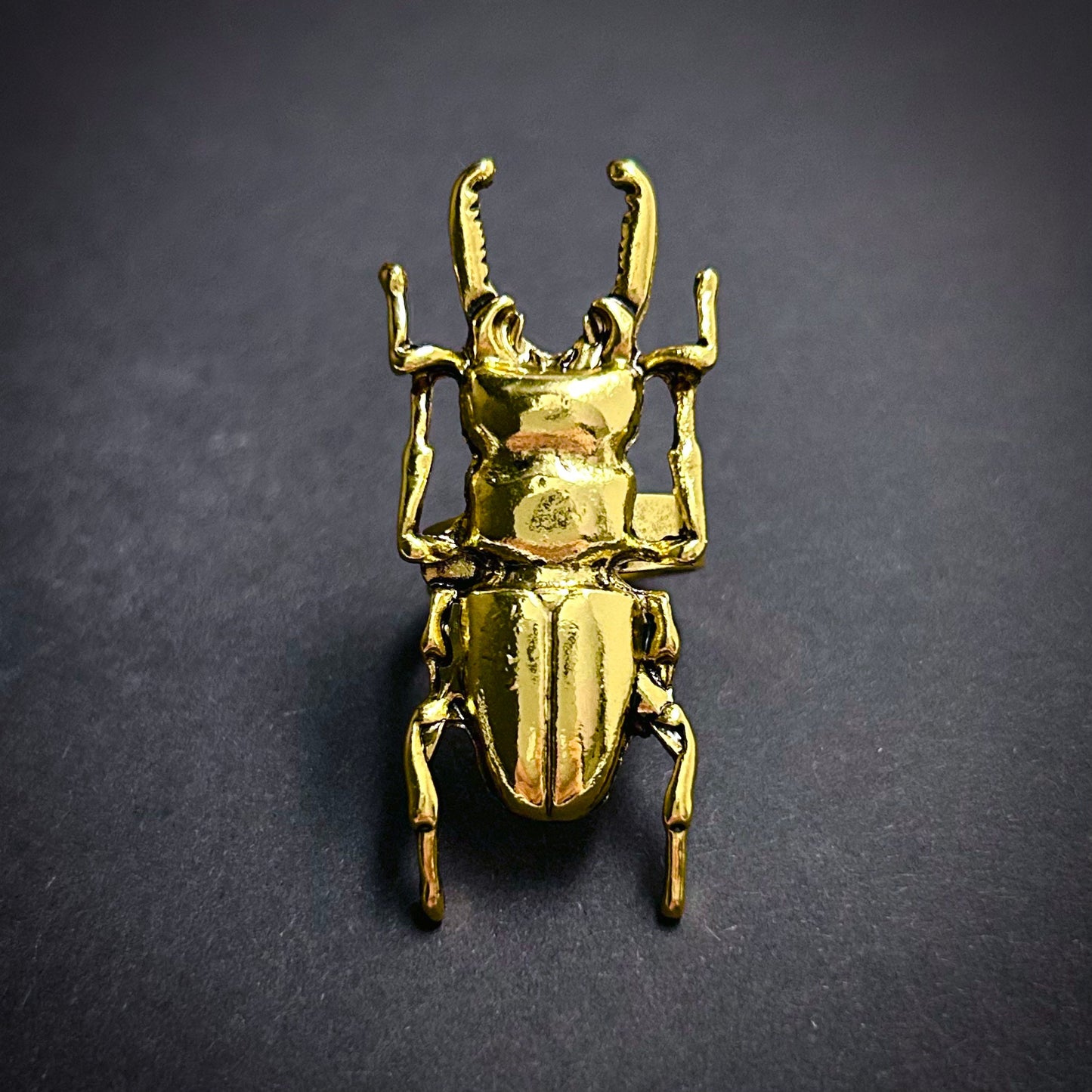 Stag Beetle Adjustable Ring in Antique Gold